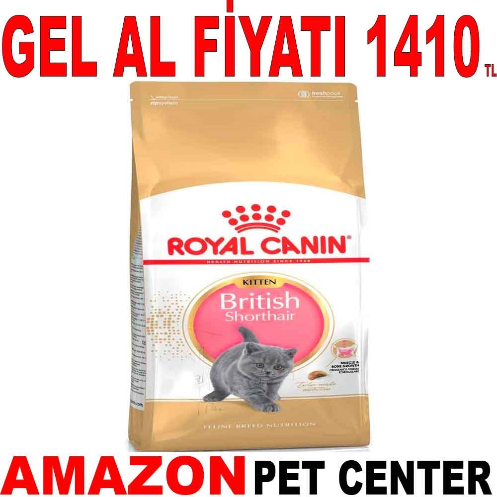 Royal Canin British Shorthair Kitten 2 Kg Gel Al 18344004 Amazon Pet Center