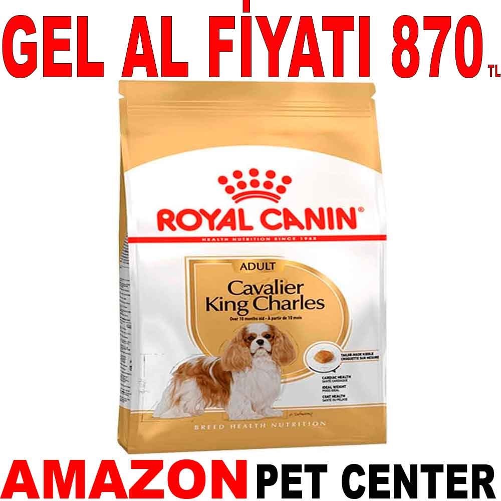 Royal Canin Cavalier King Charles Köpek Maması 1,5 Kg Gel Al 18320008 Amazon Pet Center