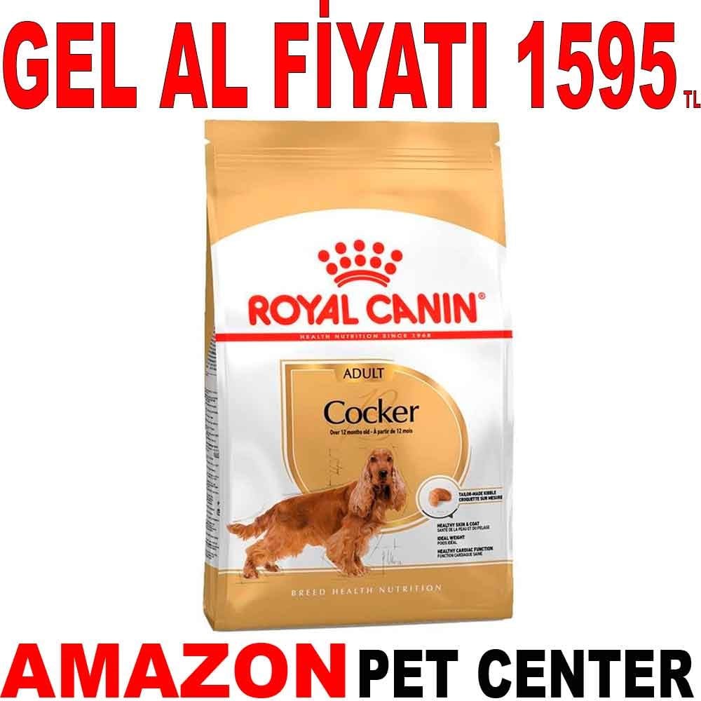 Royal Canin Cocker Spaniel Köpek Maması 3 Kg Gel Al 18326000 Amazon Pet Center
