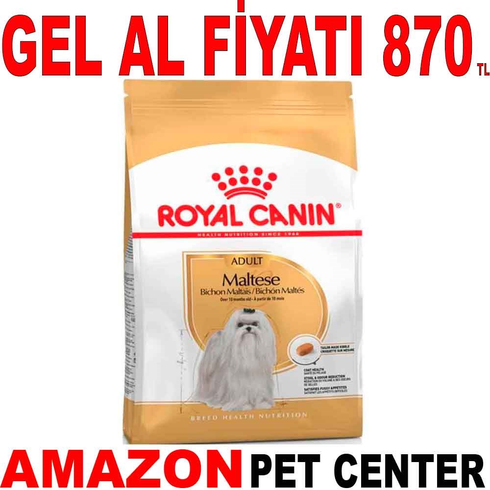 Royal Canin Maltese Köpek Maması 1.5 Kg Gel Al 18330007 Amazon Pet Center
