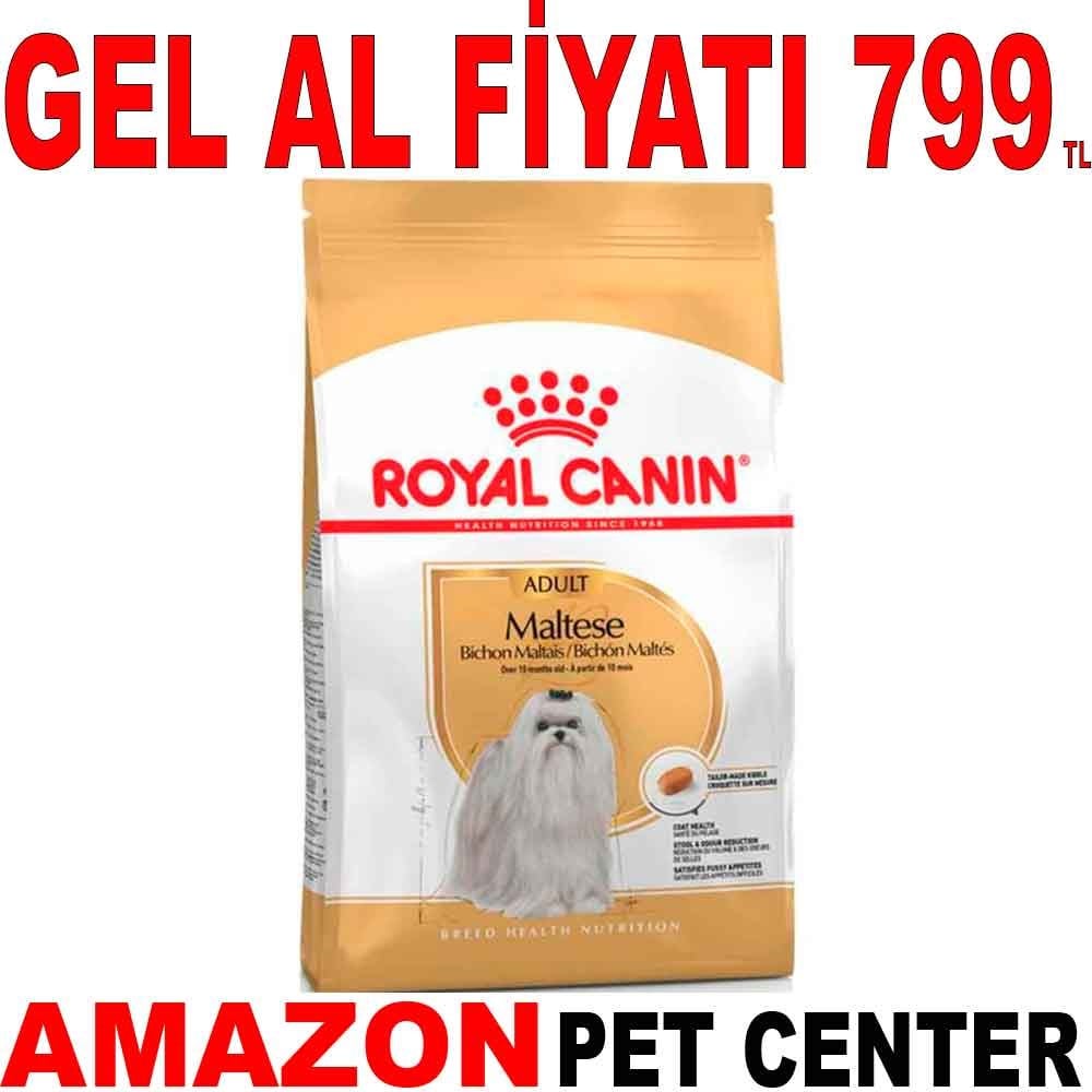 Royal Canin Maltese Köpek Maması 1.5 Kg Gel Al 18330007 Amazon Pet Center