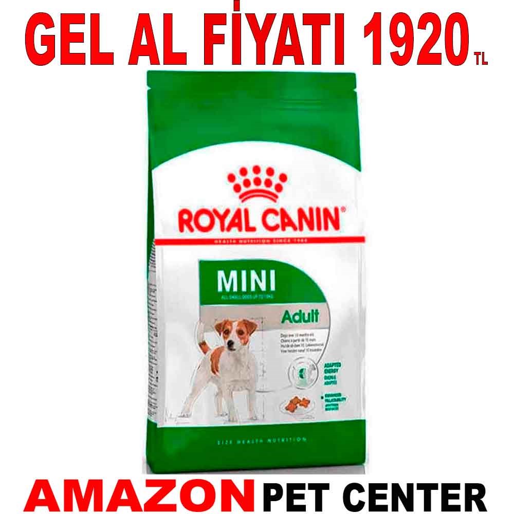 Royal Canin Mini Adult Küçük Irk Yetişkin Köpek Maması 4 Kg Gel Al 18393002 Amazon Pet Center