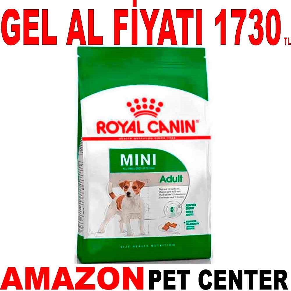 Royal Canin Mini Adult Küçük Irk Yetişkin Köpek Maması 4 Kg Gel Al 18393002 Amazon Pet Center