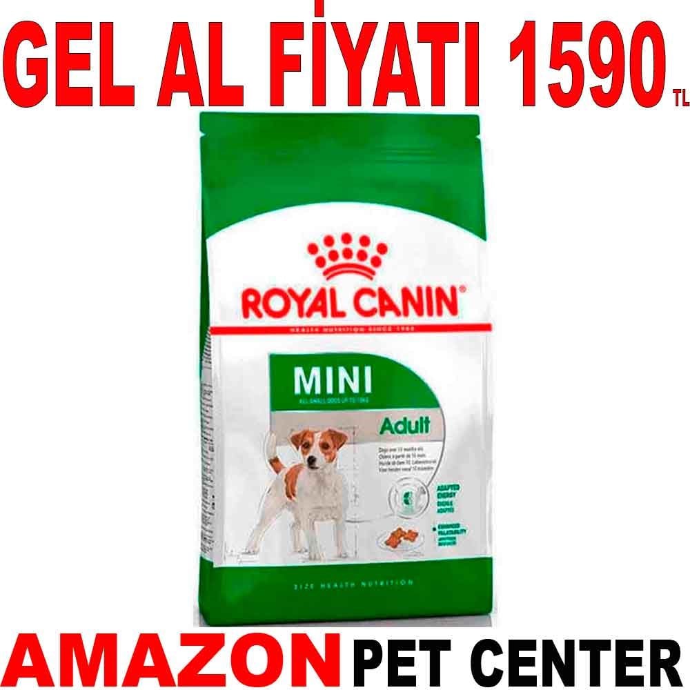 Royal Canin Mini Adult Küçük Irk Yetişkin Köpek Maması 4 Kg Gel Al 18393002 Amazon Pet Center