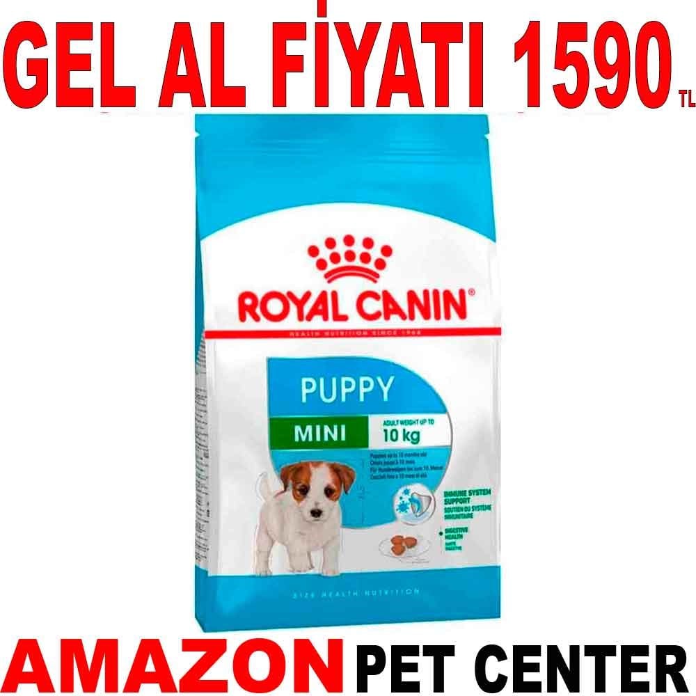 Royal Canin Mini Junior Yavru Köpek Maması 4 Kg Gel Al 19282008 Amazon Pet Center