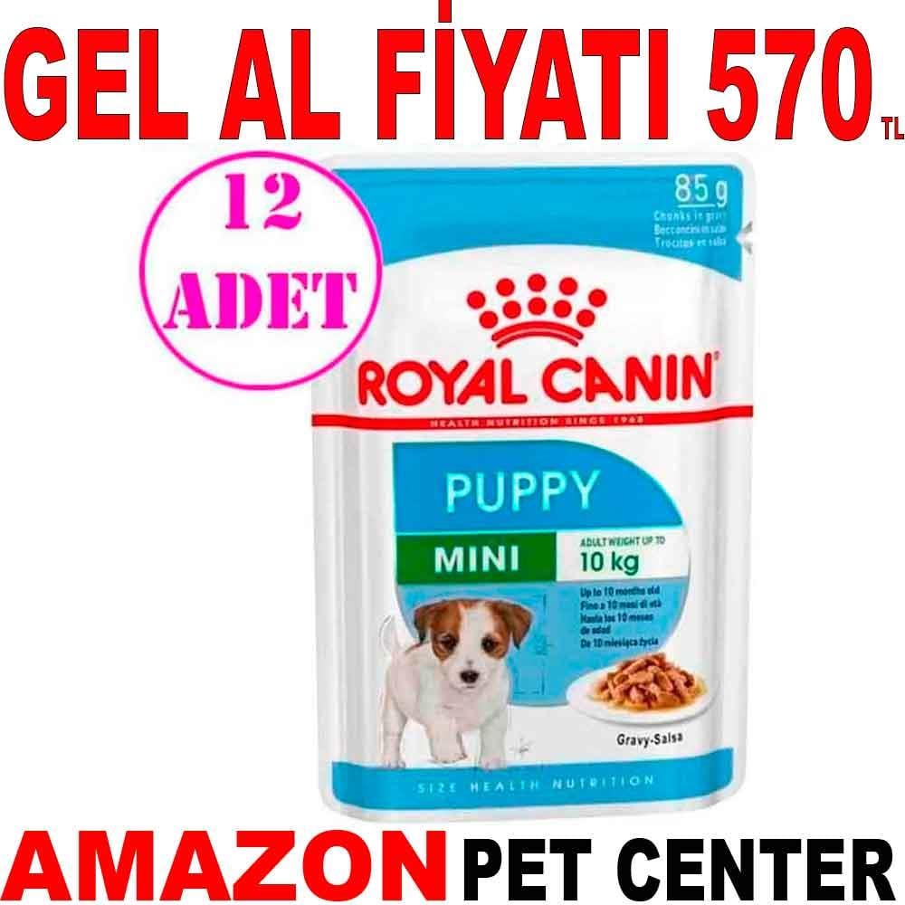 Royal Canin Mini Puppy Köpek Konservesi 85 gr 12 Ad 20167004 Amazon Pet Center