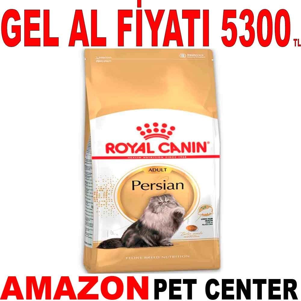 Royal Canin Persian Kedi Maması 10 Kg Gel Al 18348002 Amazon Pet Center