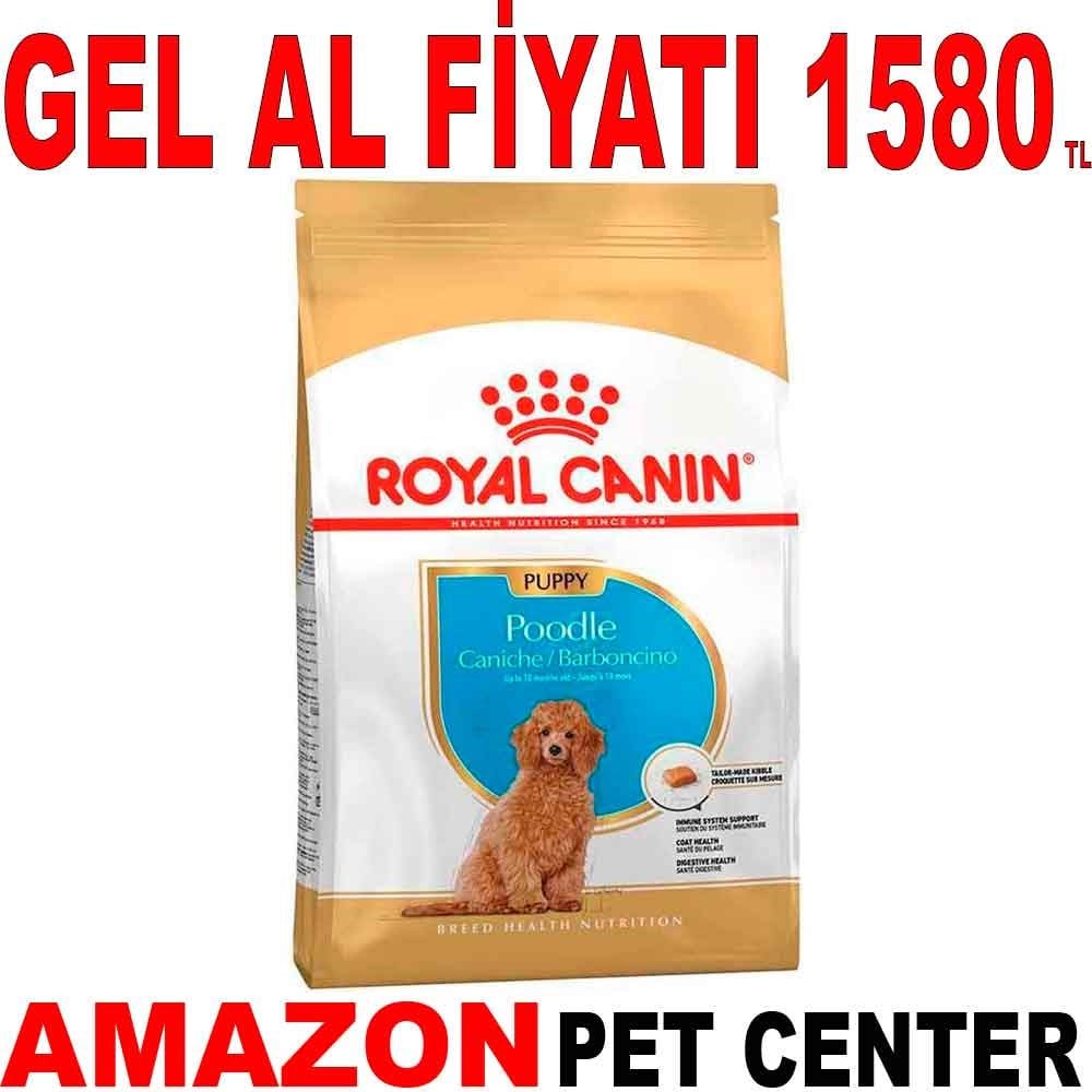 Royal Canin Poodle Yavru Köpek Maması 3 Kg Gel Al 18334005 Amazon Pet Center