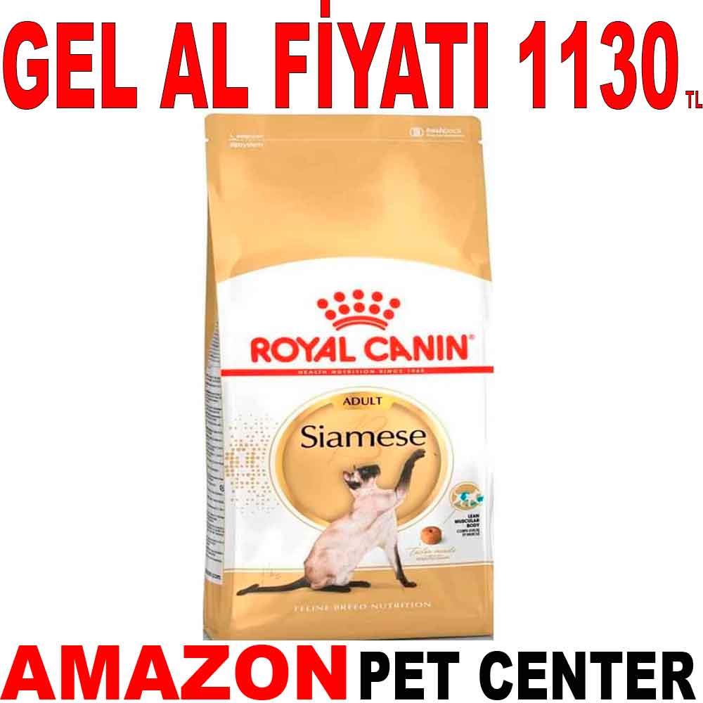 Royal Canin Siamese 38 2 Kg 18353006 Amazon Pet Center