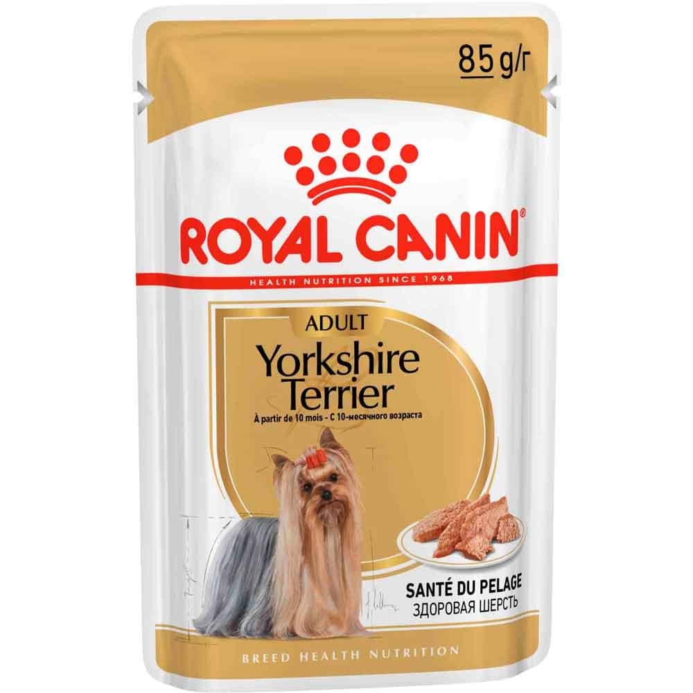 Royal Canin Yorkshire Terrier Köpek Konservesi 85 Gr 9003579001448 Amazon Pet Center