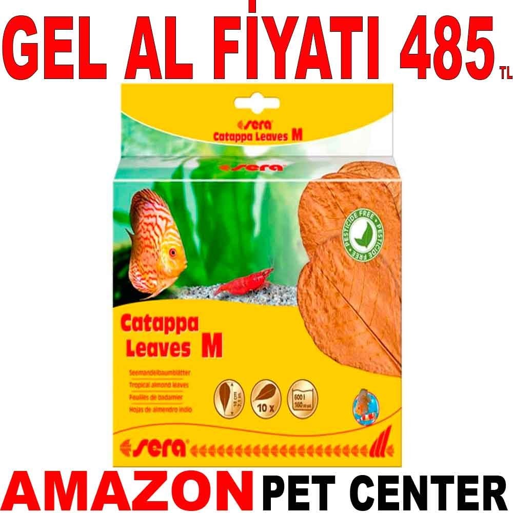 Sera Catappa Yaprağı M 18 cm 10 Ad Gel Al 35007807 Amazon Pet Center