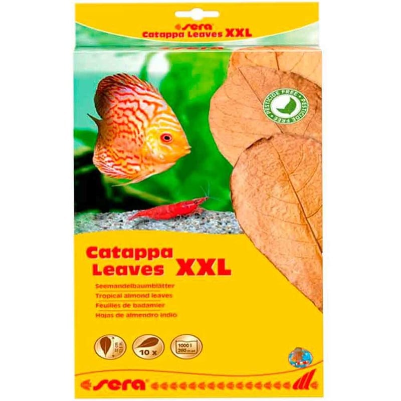 Sera Catappa Yaprağı XXL 32 Cm 4001942452458 Sera Akvaryum Sağlık Ürünleri Amazon Pet Center