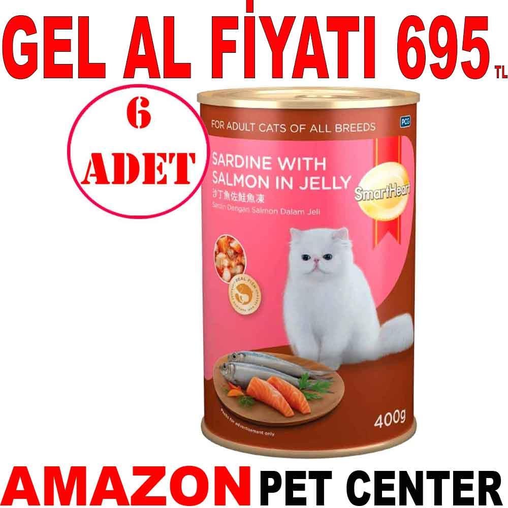 Smart Heart Kedi Konservesi Jöle İçinde Somon ve Sardalyalı 400 Gr 6 AD 35003830 Amazon Pet Center