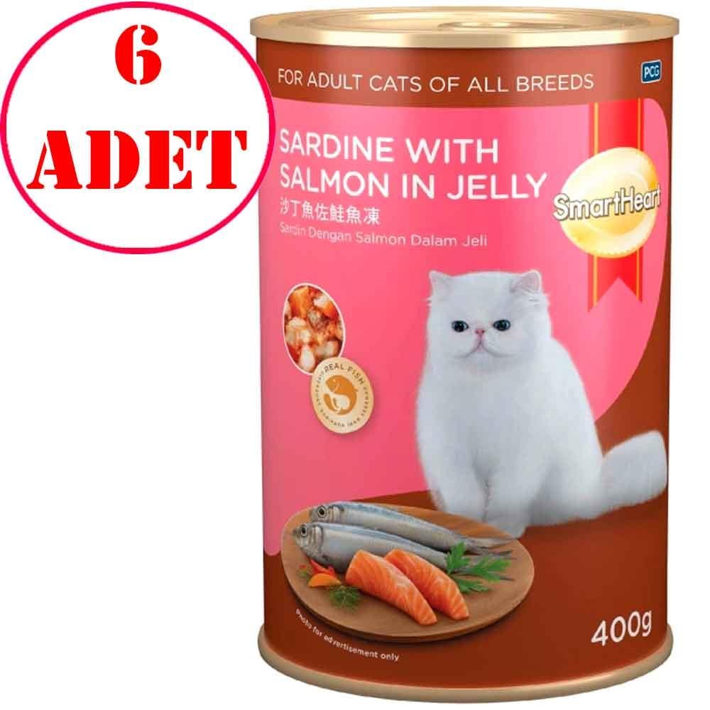 Smart Heart Kedi Konservesi Jöle İçinde Somon ve Sardalyalı 400 Gr 6 AD 35003823 Amazon Pet Center