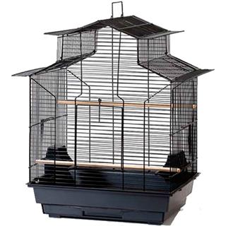 Euro Gold Çin Çatılı Papağan Kafesi Siyah 32111989 Amazon Pet Center