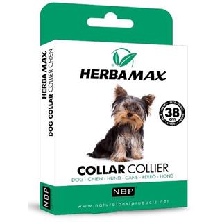 Herba Max Köpekler İçin Doğal Pire Tasması 38 Cm 8437005300262 Amazon Pet Center