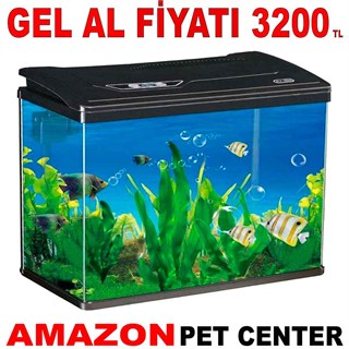 Makro İthal Akvaryum Seti Siyah 38 Cm 23 x 39 Cm Bombeli Gel Al 35015000 Amazon Pet Center