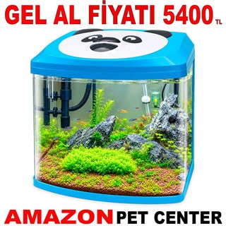 Makro Panda Akvaryum Mavi 38 x 26 x 45 Cm Gel Al 35015062 Amazon Pet Center