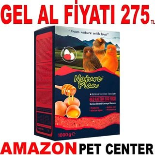 Nature Plan Ballı Yumurtalı Kırmızı Kuş Maması 1 Kg Gel Al 35008293 Amazon Pet Center