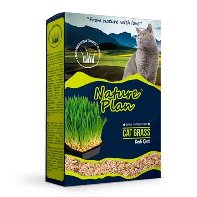 Nature Plan Kedi Çimi 8699004230012 Nature Plan Kedi Vitamin Ve Ek Besinleri Amazon Pet Center