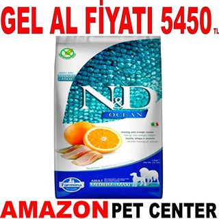 N&D Ocean Ringa Balıklı ve Portakallı Tahılsız Orta ve Büyük Irk Yetişkin Köpek Maması 12 Kg Gel Al 18654004 Amazon Pet Center