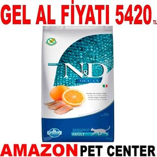 ND Ocean Ringa Balıklı ve Portakallı Tahılsız Yetişkin Kedi Maması 10 Kg Gel Al 18655001 Amazon Pet Center