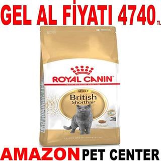 Royal Canin British Shorthair Kedi Maması 10 Kg 18345001 Amazon Pet Center