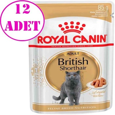 Royal Canin British Shorthair Yetişkin Kedi Konservesi 85 Gr 12 Ad 32120806 Royal Canin Yetişkin Kedi Konserve Mamaları Amazon Pet Center