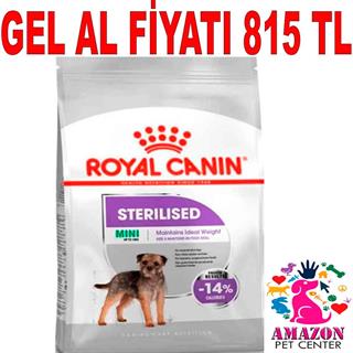 Royal Canin CCN Mini Steril Kısır Köpek Maması 3 kg 18343007 Amazon Pet Center