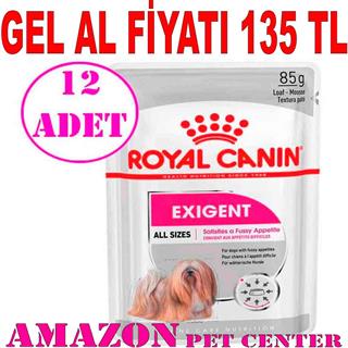 Royal Canin Exigent Köpek Konservesi 85 gr 12 Ad 32120899 Amazon Pet Center