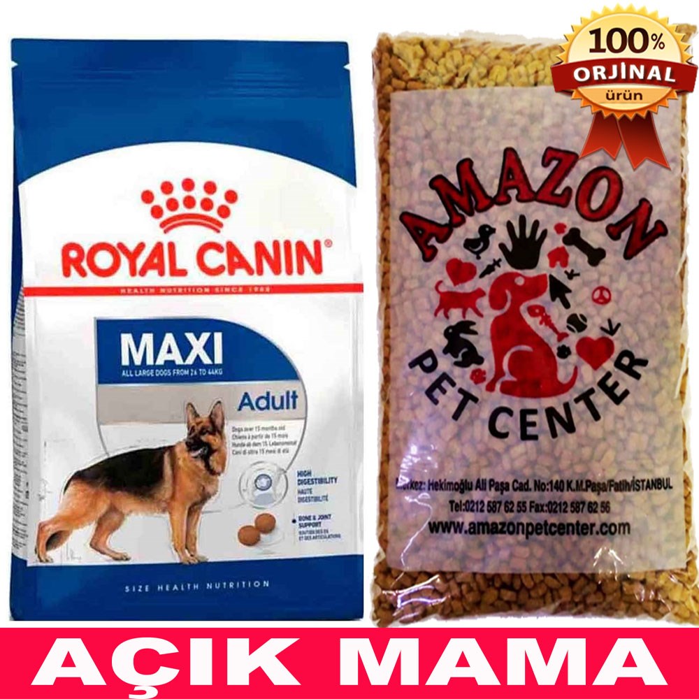 Royal Canin Maxi Adult Büyük Irk Yetişkin Köpek Maması Açık 1 Kg 32132632 Amazon Pet Center