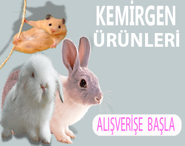 KEMİRGEN ÜRÜNLERİ