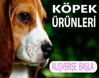 KÖPEK ÜRÜNLERİ