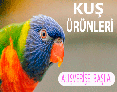 KUŞ ÜRÜNLERİ