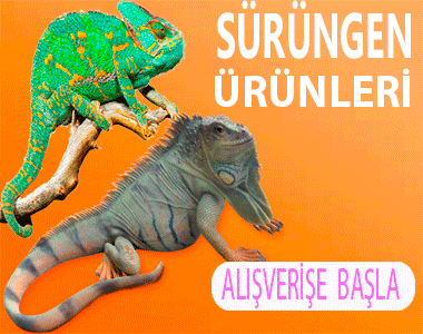 SÜRÜNGEN ÜRÜNLERİ