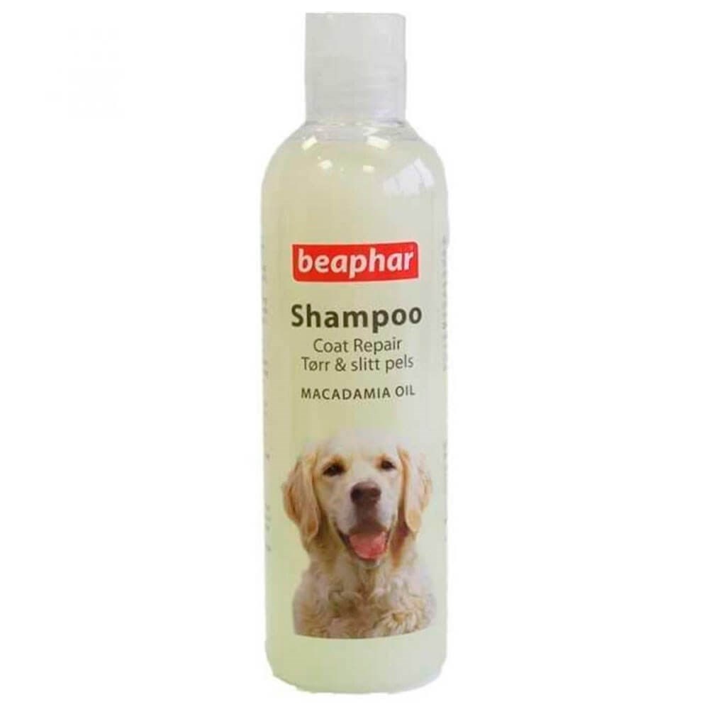 Beaphar Macadamia Yağlı Köpek Şampuanı 250 ml 8711231109036 Amazon Pet Center