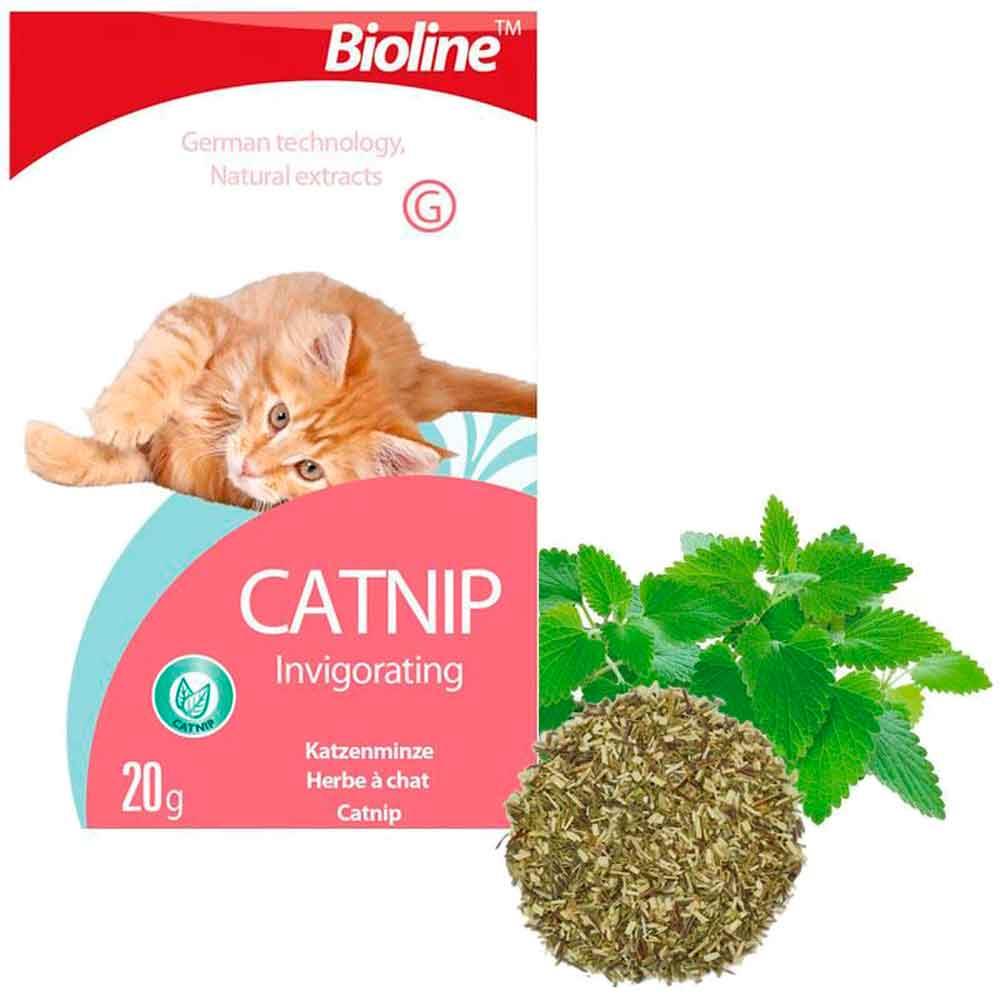 Bioline Catnip Doğal Kedi Nanesi 20 Gr 6970117120370 Amazon Pet Center