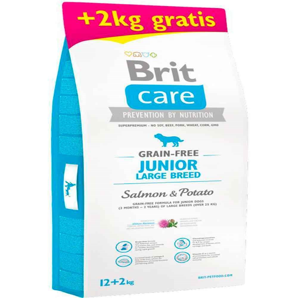 Brit Care Junior Large Somonlu Patatesli Tahılsız Büyük Irk Yavru Köpek Maması 12+2Kg 8595602522200 Amazon Pet Center