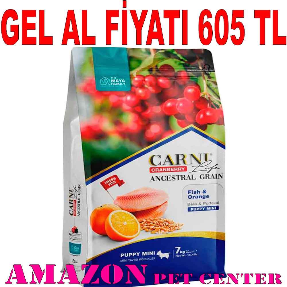 Carni Life Köpek Maması Puppy Mini 7 Kg Kızılcık Balık Portakal 18173000