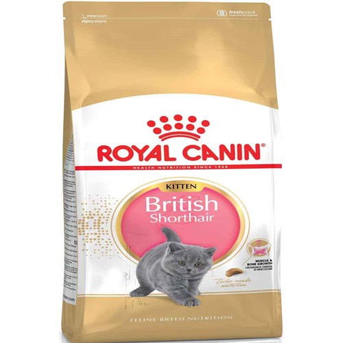 Royal Canin British Shorthair Kitten 2 kg 3182550816533 Royal Canin Yavru Kedi Mamaları Amazon Pet Center