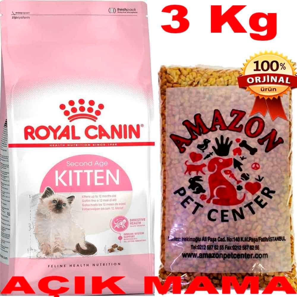 Royal Canin Kitten Açık Yavru Kedi Maması 3 Kg 32117134 Amazon Pet Center