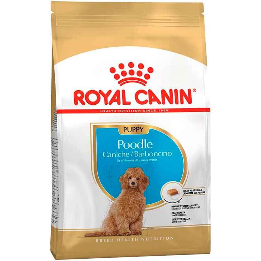 Royal Canin Poodle Yavru Köpek Maması 3 Kg 3182550765206 Amazon Pet Center