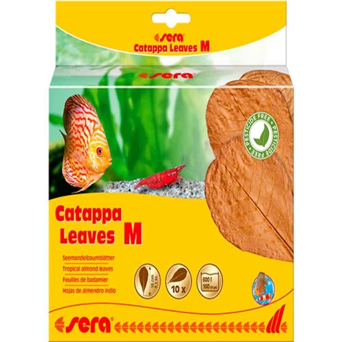 Sera Catappa Yaprağı M 18 cm 10 Adet 4001942452441 Sera Akvaryum Sağlık Ürünleri Amazon Pet Center