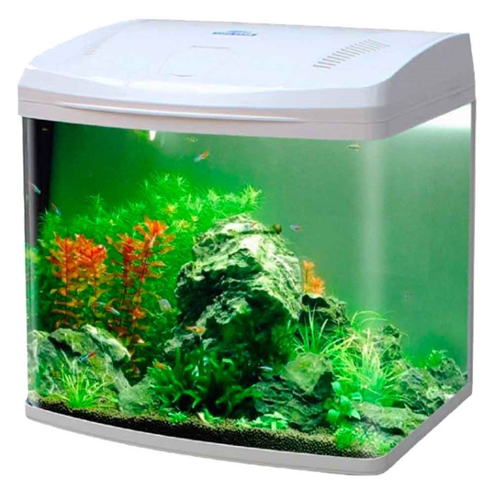 Aqua Master Sistemli Akvaryum 50cm Beyaz 32133974 Amazon Pet Center