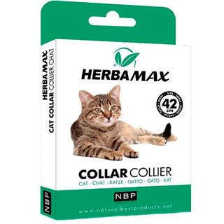 Herba Max Kediler İçin Doğal Pire Tasması 42 Cm 8437005300224 Amazon Pet Center