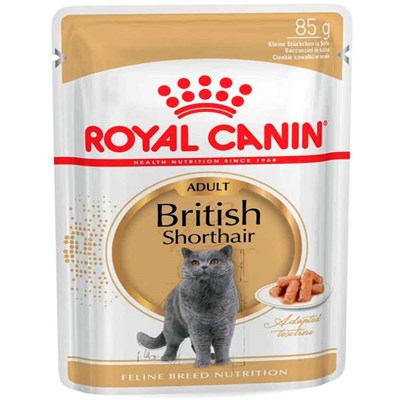 Royal Canin British Shorthair Yetişkin Kedi Konservesi 85 Gr 9003579001257 Royal Canin Yetişkin Kedi Konserve Mamaları Amazon Pet Center
