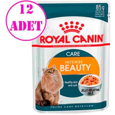 Royal Canin Intense Beauty Jelly 85 gr 12 ADET 32108101 Royal Canin Koli Kedi Konserve Mamaları Amazon Pet Center