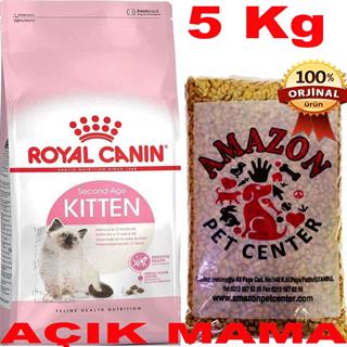 Royal Canin Kitten Açık Yavru Kedi Maması 5 Kg 32135343 Amazon Pet Center
