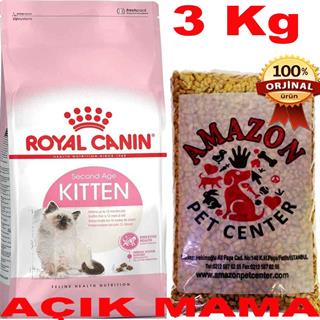 Royal Canin Kitten Açık Yavru Kedi Maması 3 Kg 32117134 Amazon Pet Center