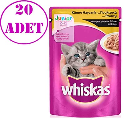Whiskas Junior Kümes Hayvanlı Yavru Kedi Konservesi 100 gr 20 Ad 32121544 Amazon Pet Center
